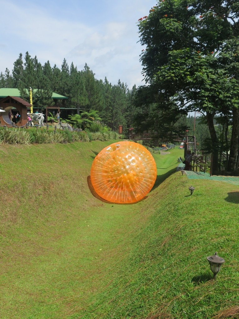 Rolling zorb