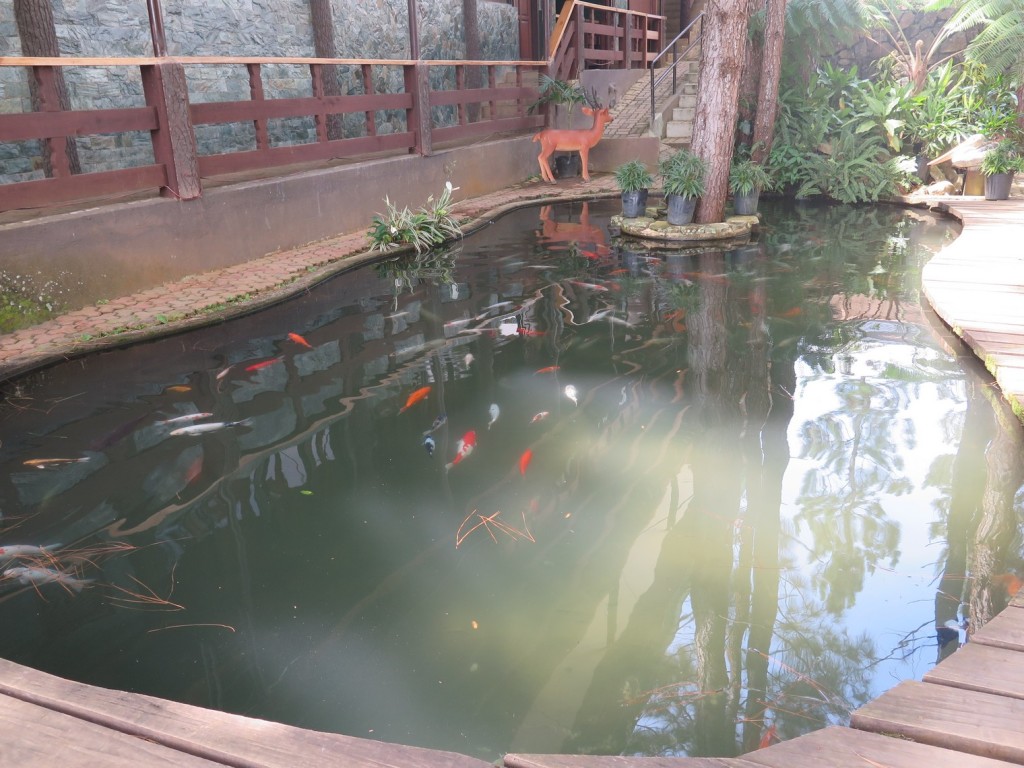 Fish Pond