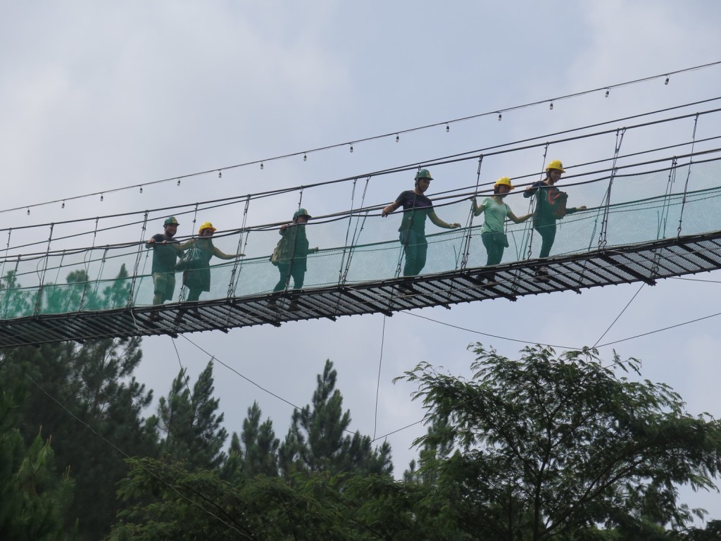 Hanging Bridge