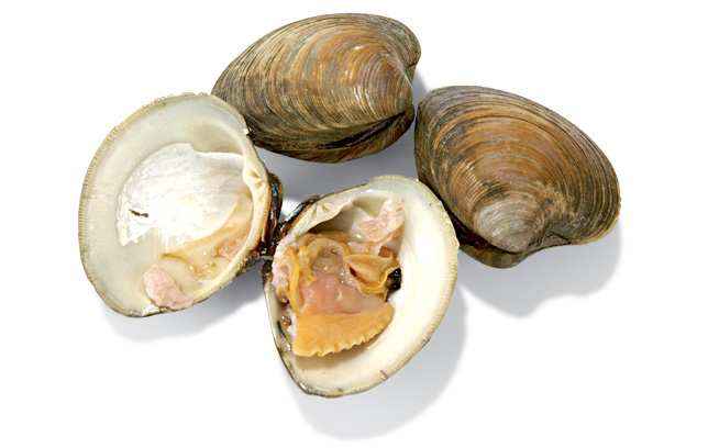 happy foods clams