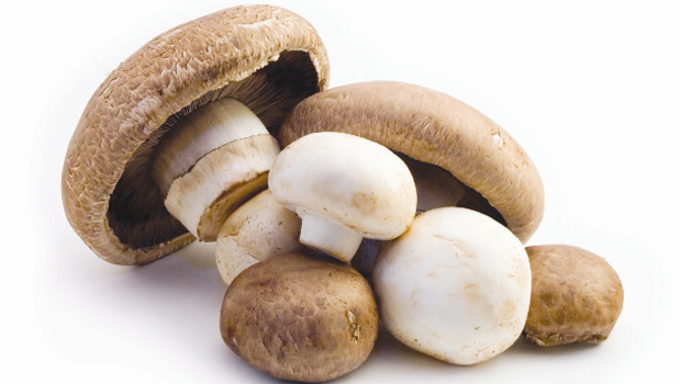 happy foods mushrooms