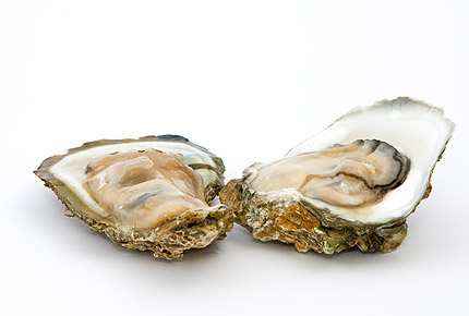 happy foods oysters