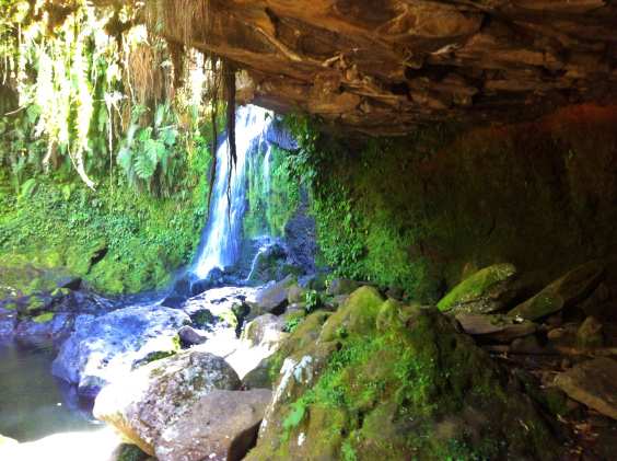 Cinchona Waterfalls 1