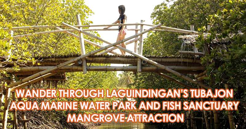 Wander through the tubajon aqua marine water park and fish sanctuary
