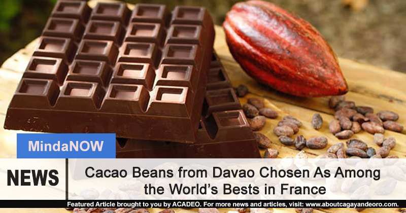 Cacao beans in Davao chosen as among the best in the world