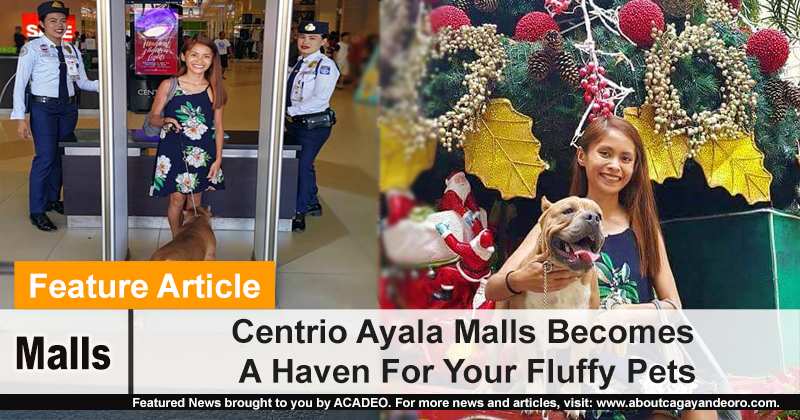 Centrio Ayala Malls Becomes A Haven For Your Fluffy Pets