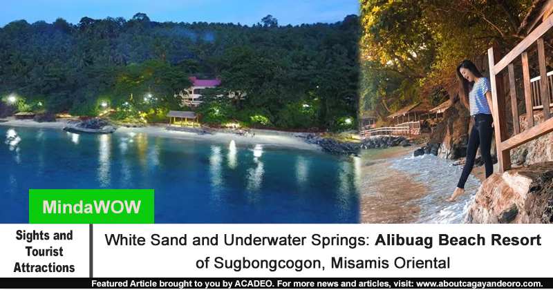Alibuag Beach Resort