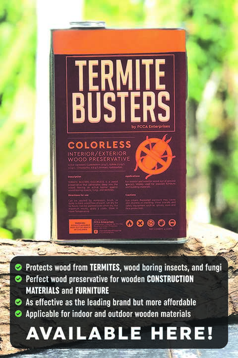 Termite Busters