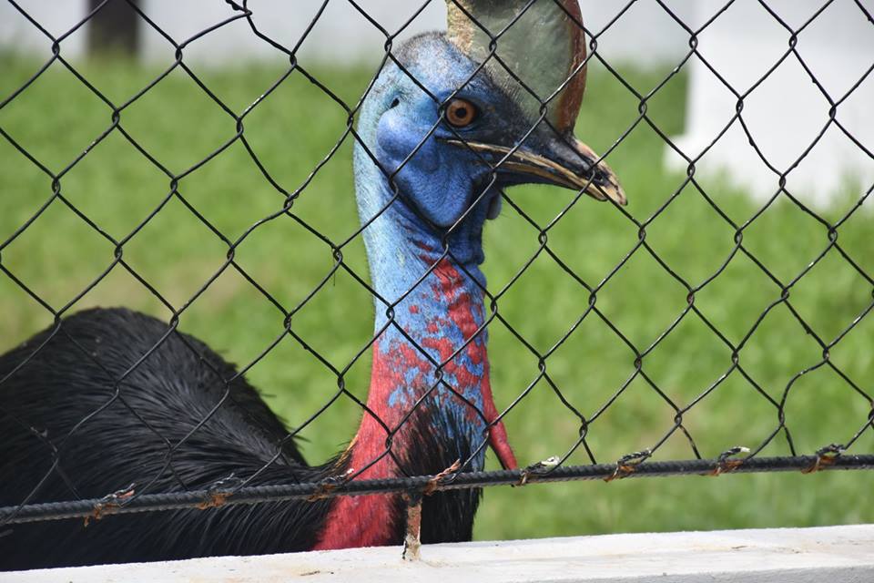 Bukidnon Provincial Zoo