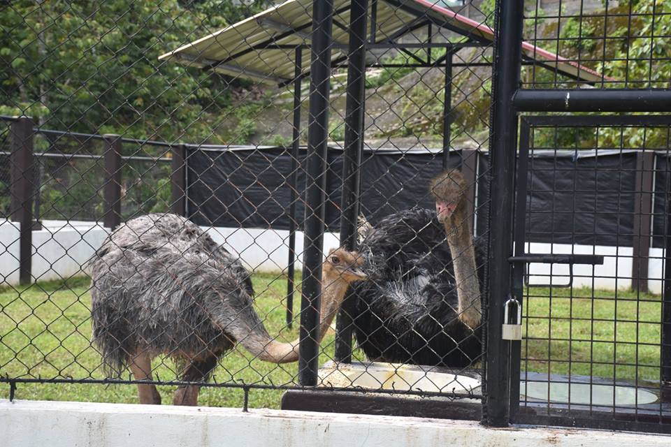 Bukidnon Provincial Zoo