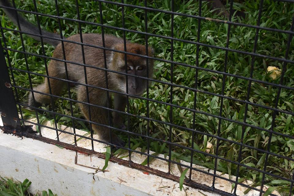 Bukidnon Provincial Zoo