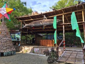 Boardwalk And Mangrove Eco-Park