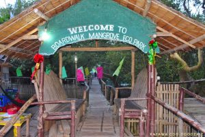 Boardwalk And Mangrove Eco-Park