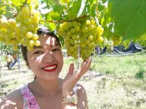 Grape Farm