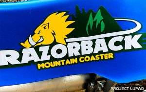 Razorback Mountain Coaster