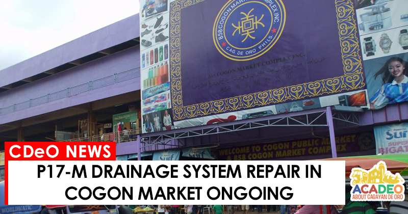 drainage system repair in Cogon Market