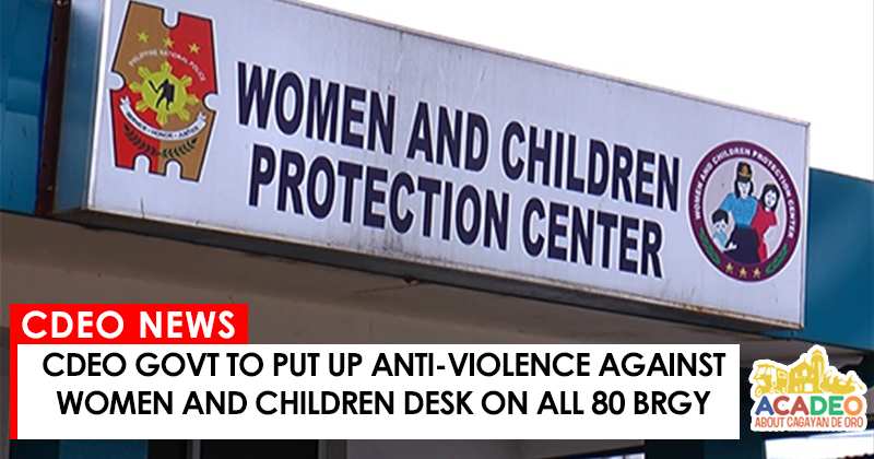 anti violence against women and children desk