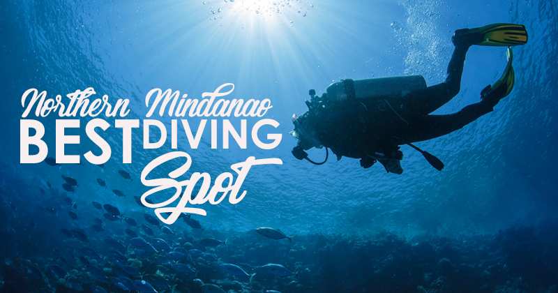 diving spots in north min