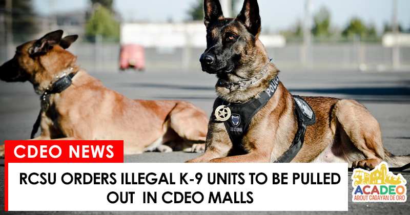 k-9 units pulled out in cdeo malls