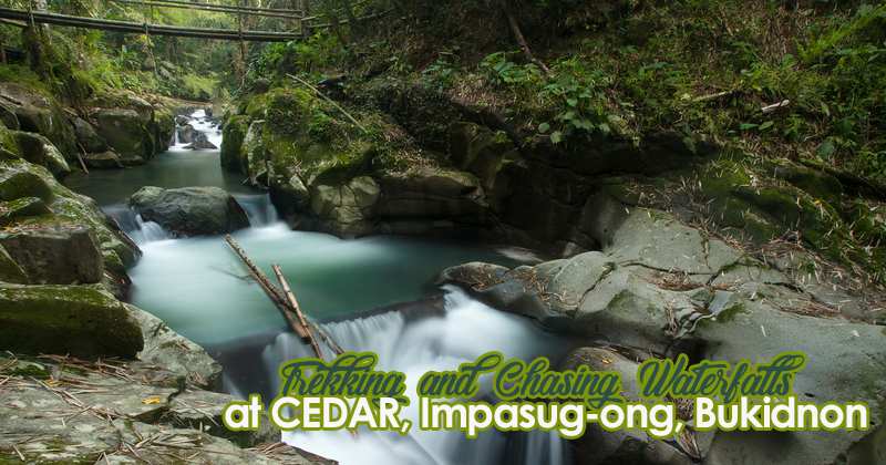 Cedar waterfalls