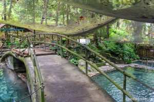 Ardent Hot Spring