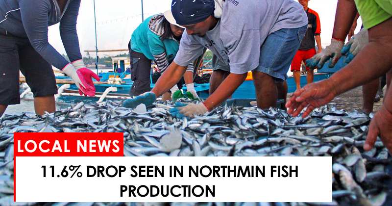 11.6% drop seen in NorthMin fish production