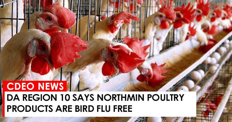 DA Region 10 says NorthMin poultry products are bird flu free