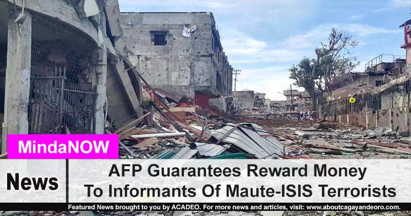 AFP Guarantees Reward Money To Informants Of Maute-ISIS Terrorists