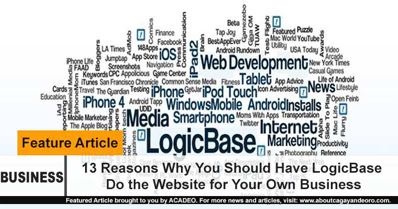 13 reasons why you should have LBI do your website for your business
