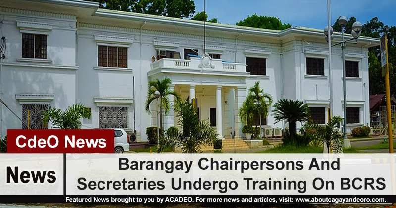 Barangay Chairpersons And Secretaries Undergo Training On BCRS
