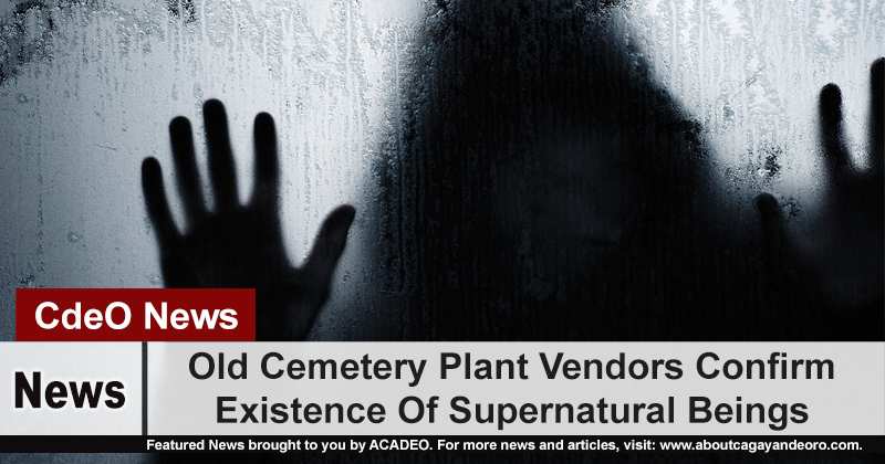 Old Cemetery Plant Vendors Confirm Existence Of Supernatural Beings