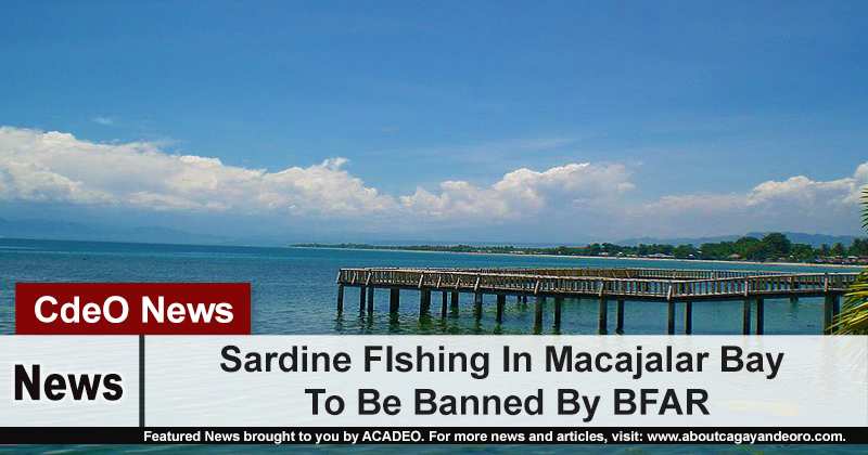 Sardine FIshing In Macajalar Bay To Be Banned By BFAR