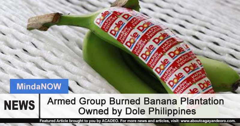 Armed Group Burned Banana Plantation owned by Dole Philippines