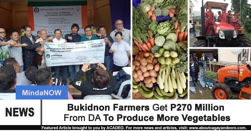Bukidnon Farmers