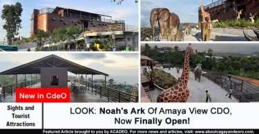 Noah's Ark