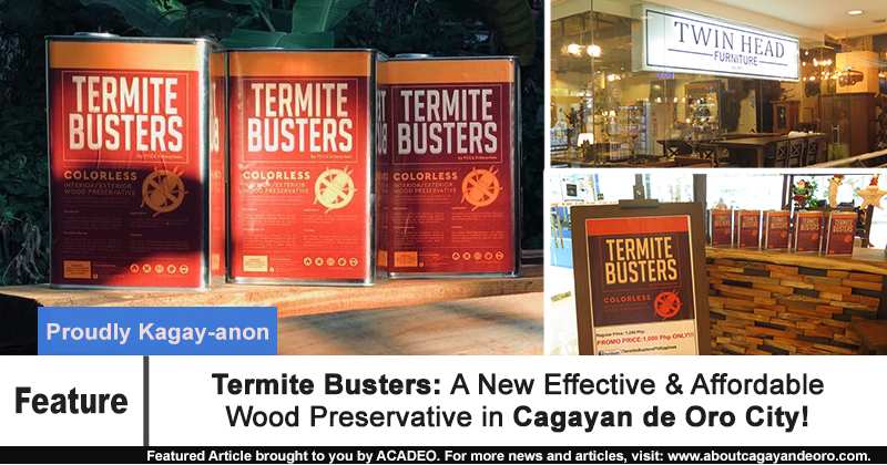 Termite Busters