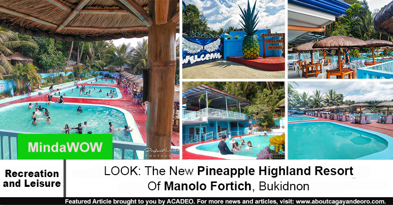Pineapple Highland Resort