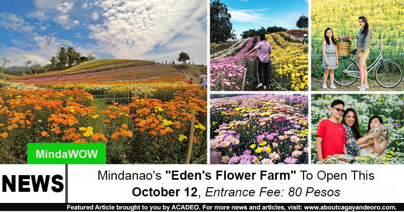 Eden's Flower Farm
