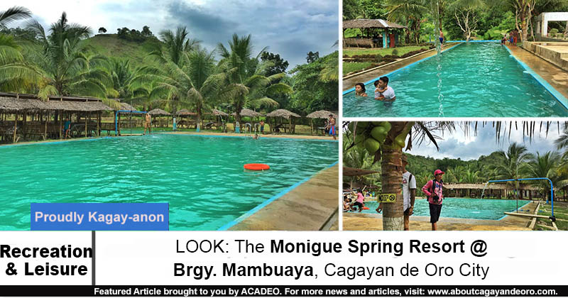 Monigue Spring Resort