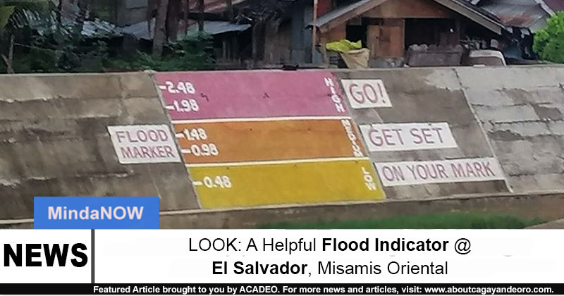 flood indicator