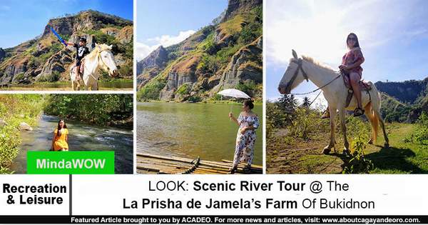 La Prisha de Jamela’s Farm