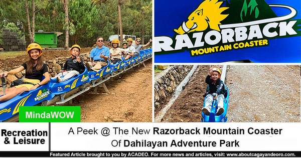 Razorback Mountain Coaster