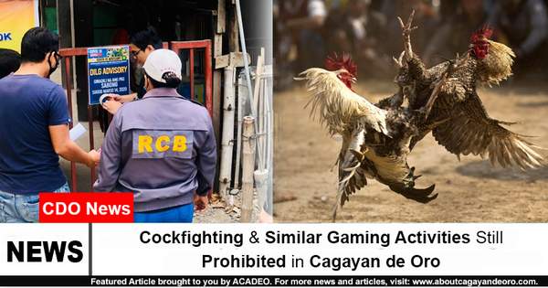 Cockfighting and Similar Gaming Activities Still Prohibited in Cagayan de Oro