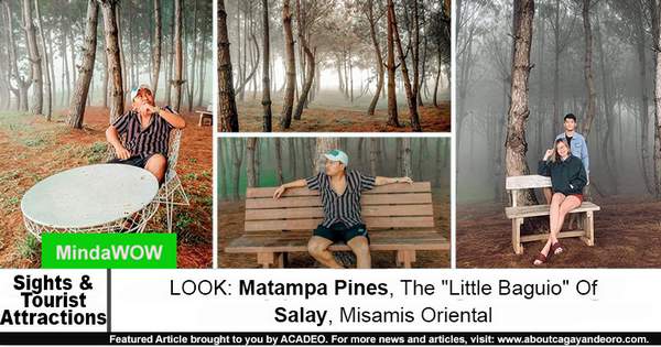 Matampa Pines