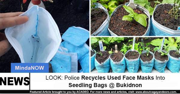 seedling bag