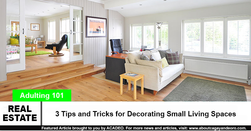 3 Tips and Tricks for Decorating Small Living Spaces