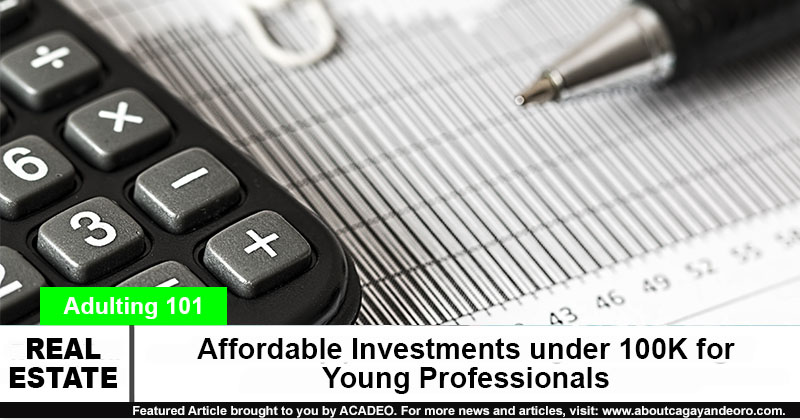 Affordable Investments under 100K for Young Professionals