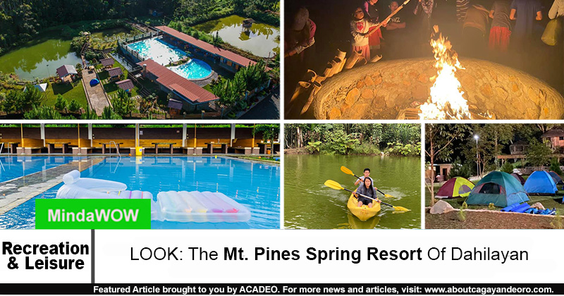 Mt. Pines Spring Resort