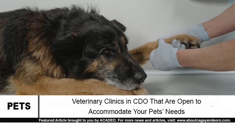 veterinary clinics in cdo