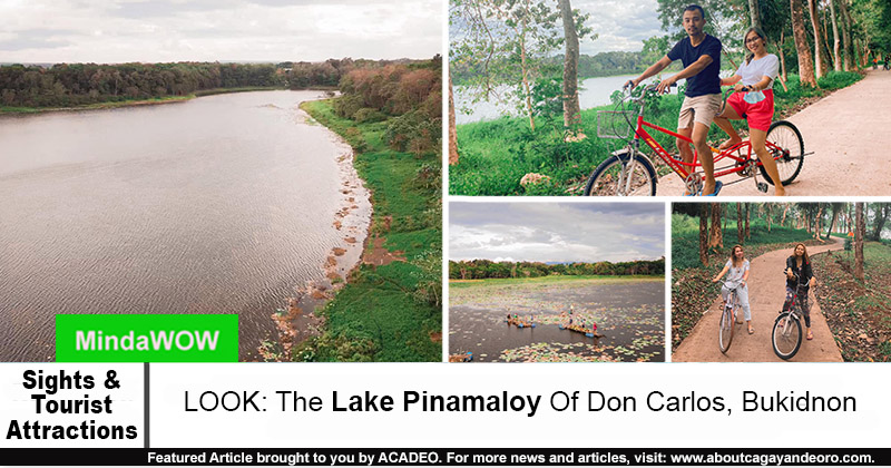 Lake Pinamaloy